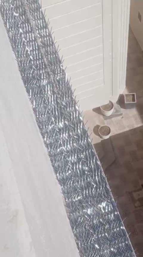 أسوار الفلل الفاخرة